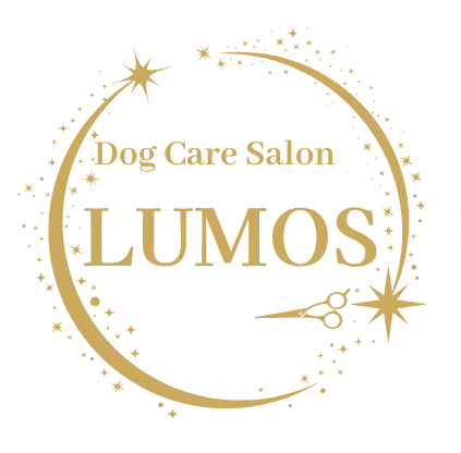 高津区子母口のトリミングサロン|Dog Care Salon LUMOS